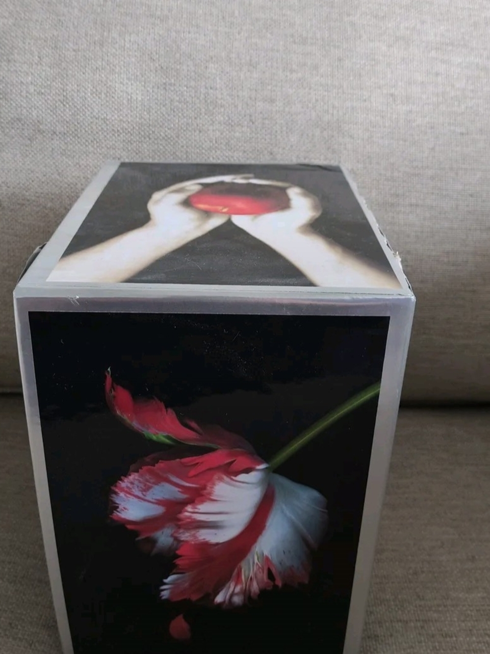 Twilight Series Book Set - Picture 4 of 6